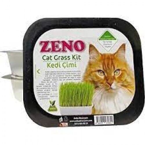 zeno-dalong-zeno-kedi-cimi-02437a.jpg