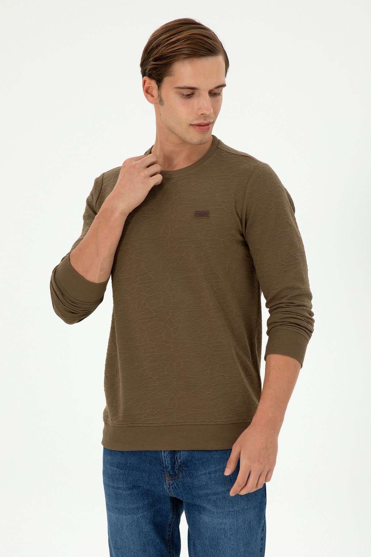 Erkek Regular Fit Bisiklet Yaka Haki Sweatshirt 1945735