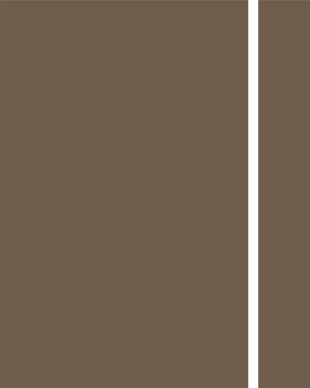 AGT 3096 Havana Coffee Supramat PVC Kenar Bandı 22x0.80 mm