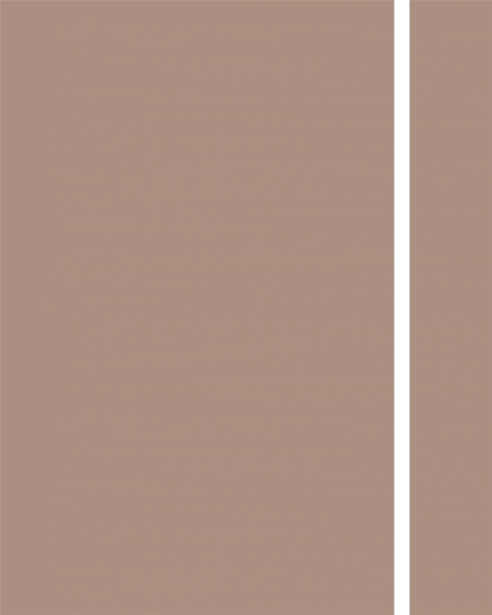 Kastamonu Entegre P103 Vizon Evogloss PVC Kenar Bandı 22x0.80 mm