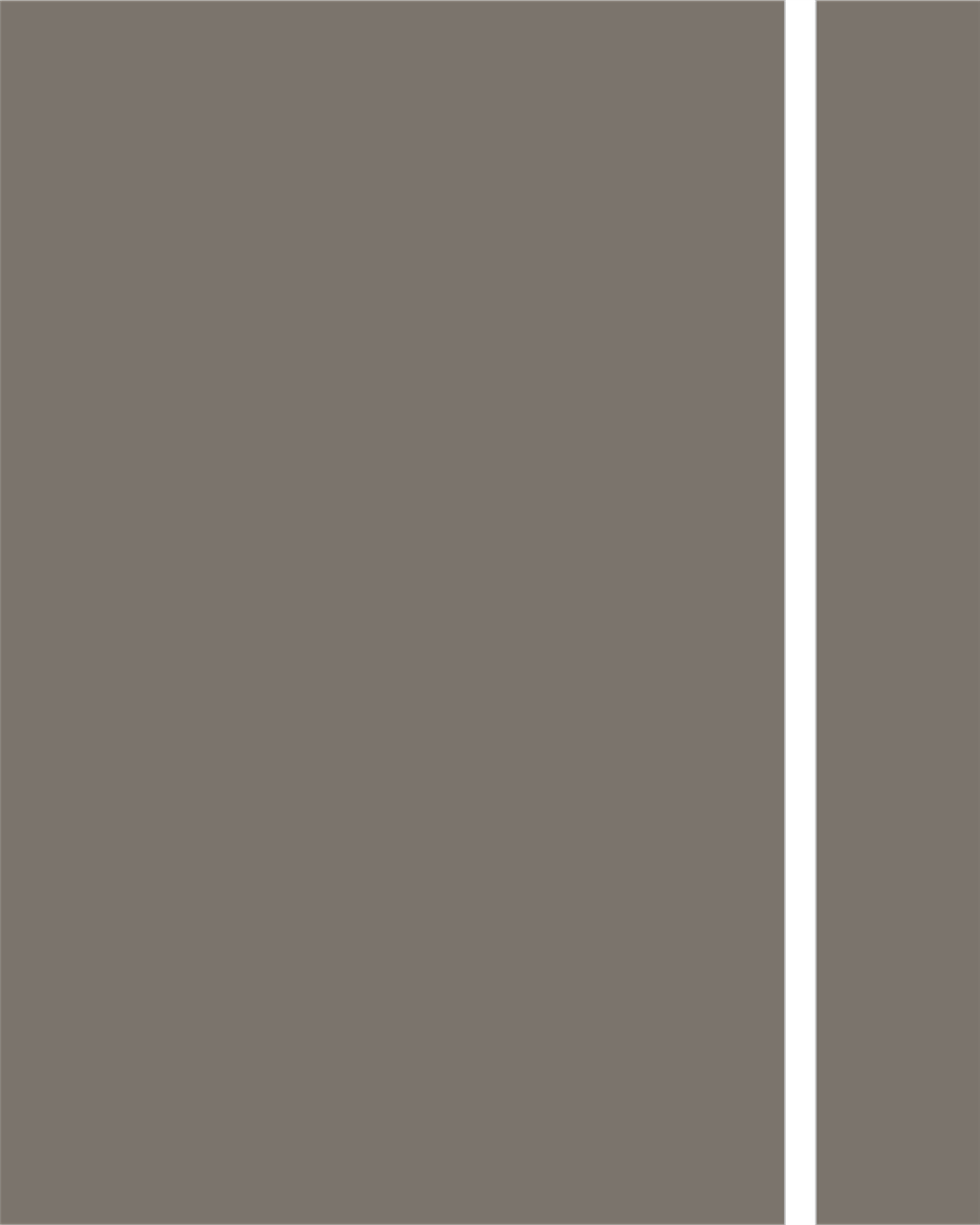 Yıldız Entegre VT_459 Toprak Düz PVC Kenar Bandı 22x0.80 mm