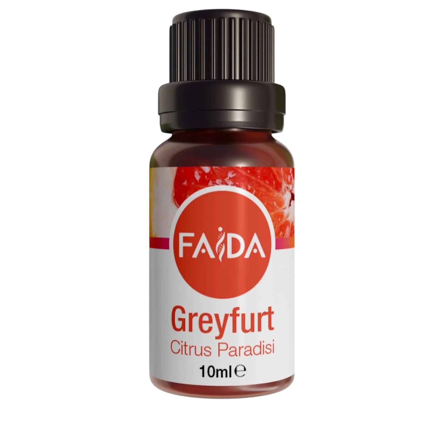 greyfurt-yagi--3350-.jpeg
