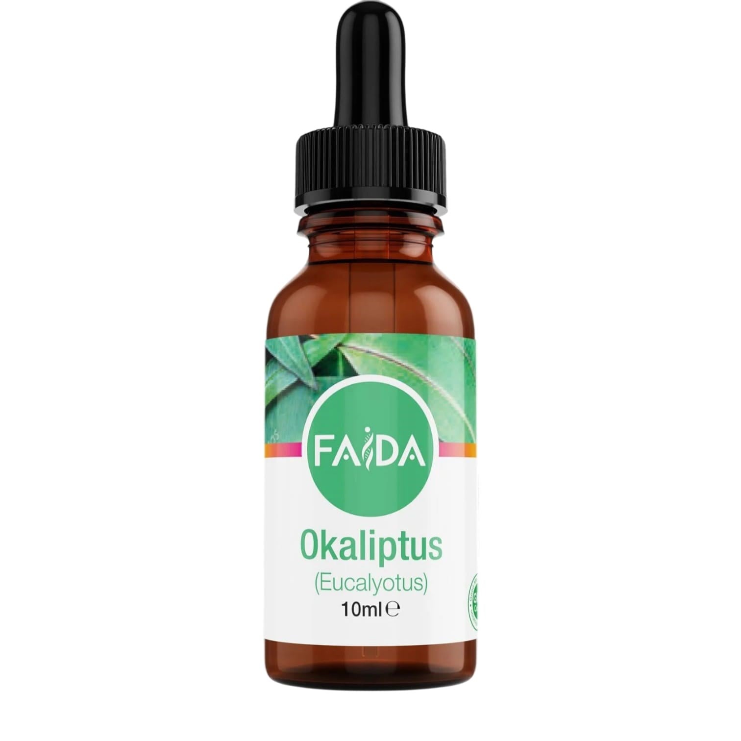 okaliptus-yagi-3c01a6.jpeg
