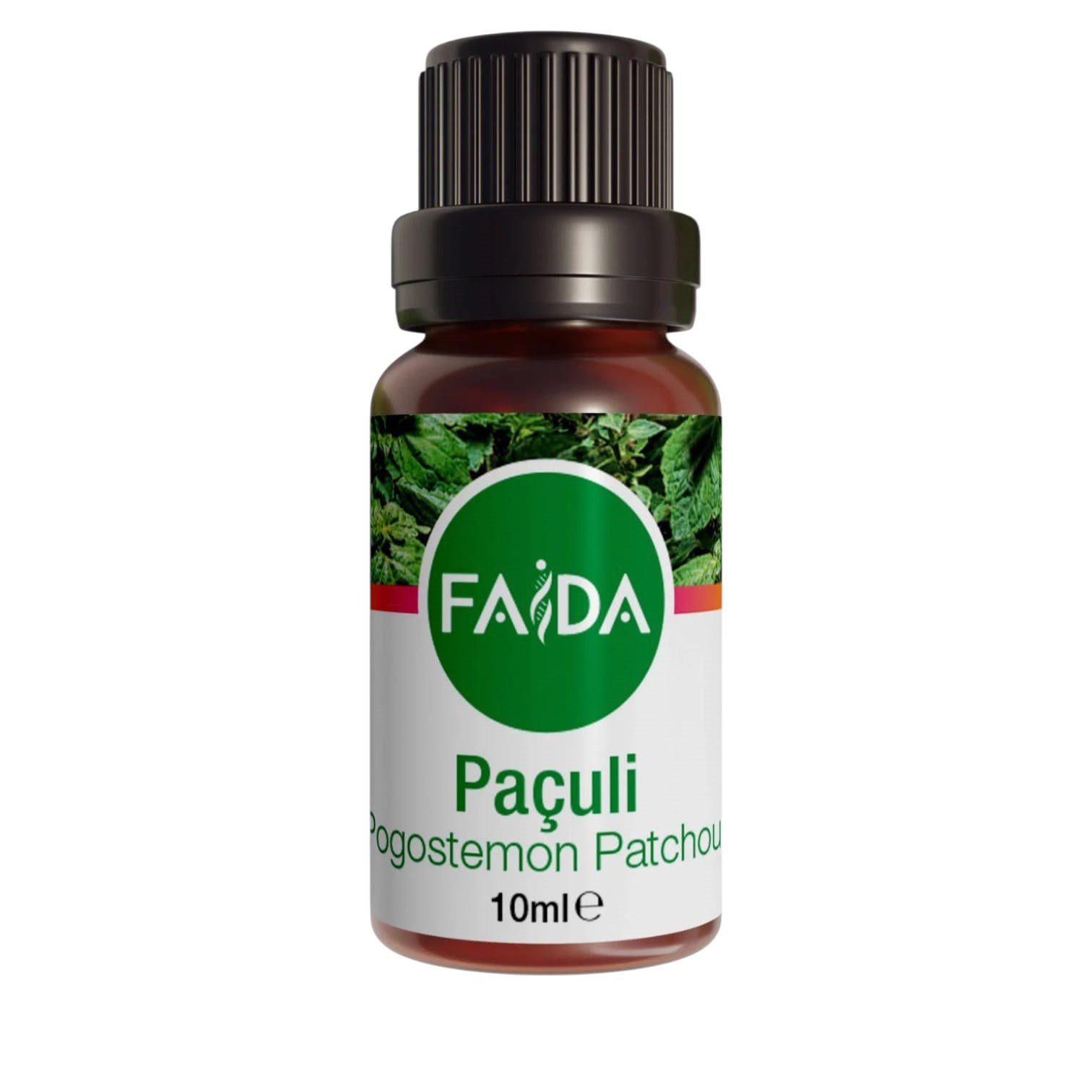 paculi-yagi-43-eed.jpeg