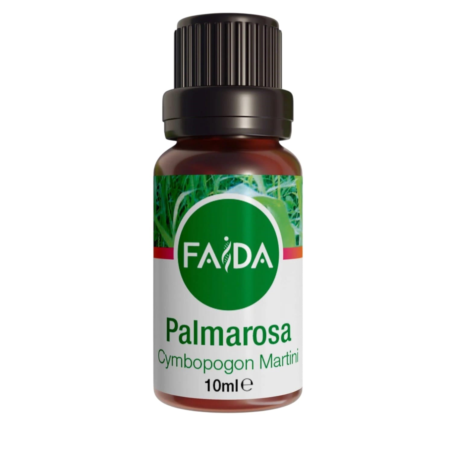 palmarosa-yagi-ee6-8c.jpeg
