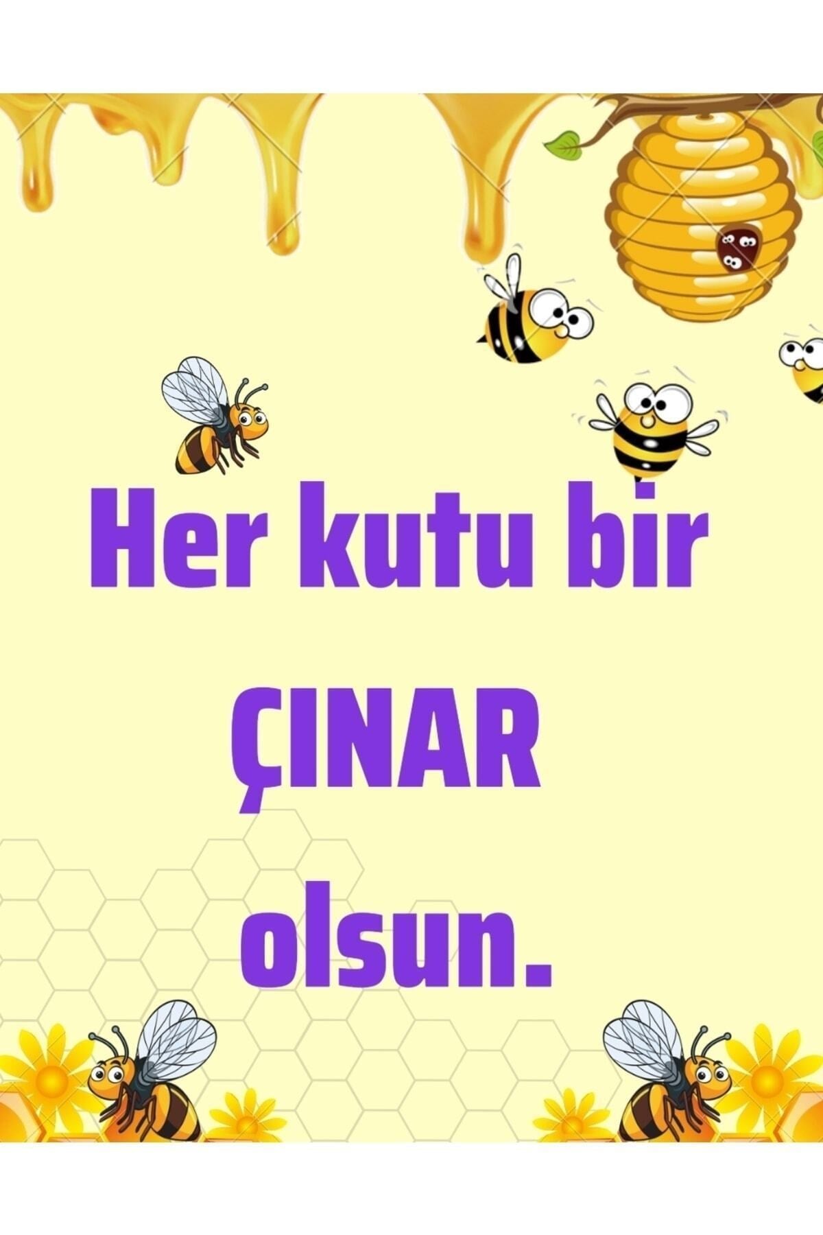 Proca Propolis Ekstraktı Suda Çözünür Damla 30ml 3'lü Paket