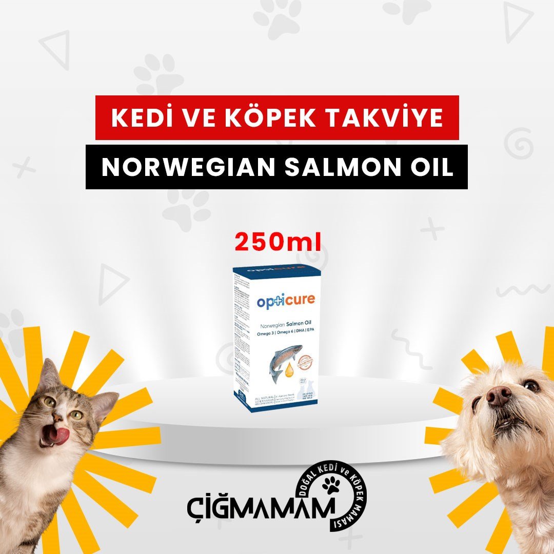 norwegian-salmon-oil-250-ml-omega-3-so-4-4179.jpg
