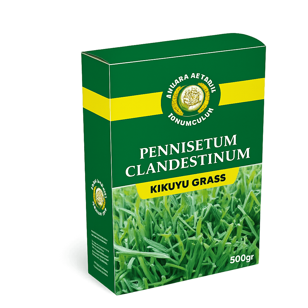 ANKARA AS TARIMPENNISETUM CLANDESTINUM KIKUYU ÇİM TOHUMU 500GR