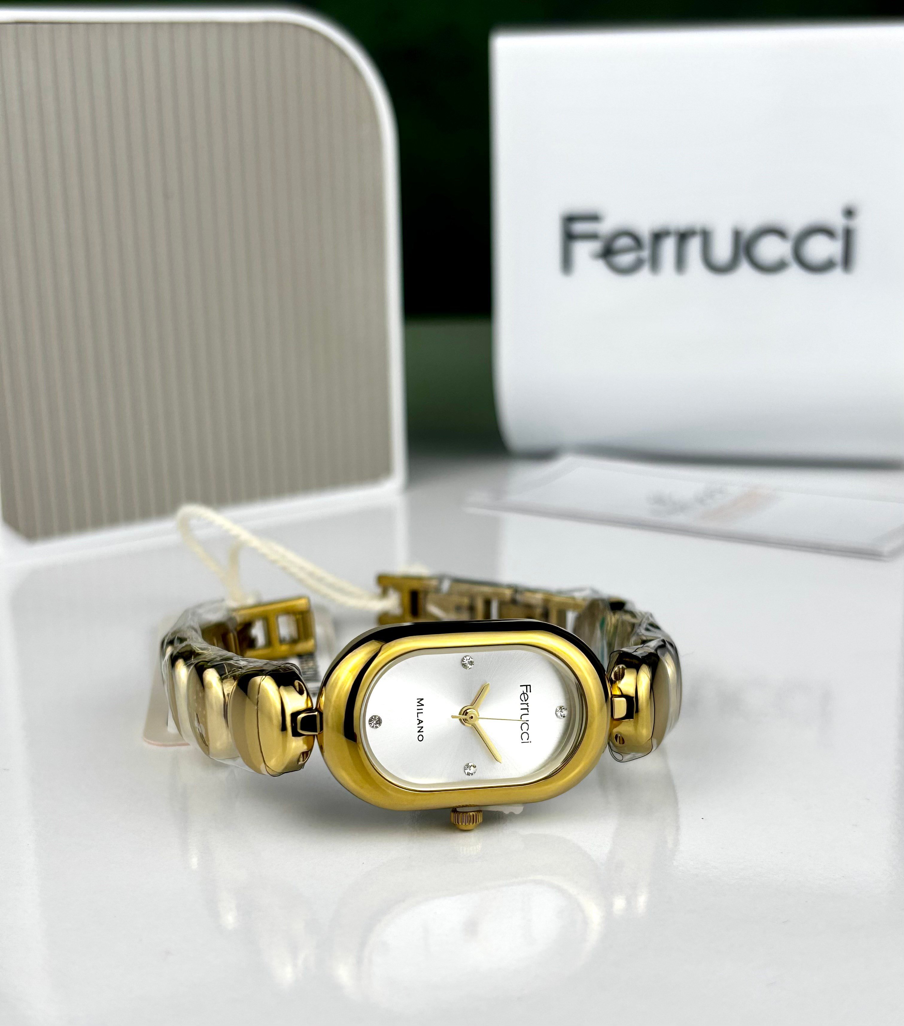 FERRUCCİ FC 03680M.05 KADIN KOL SAATİ