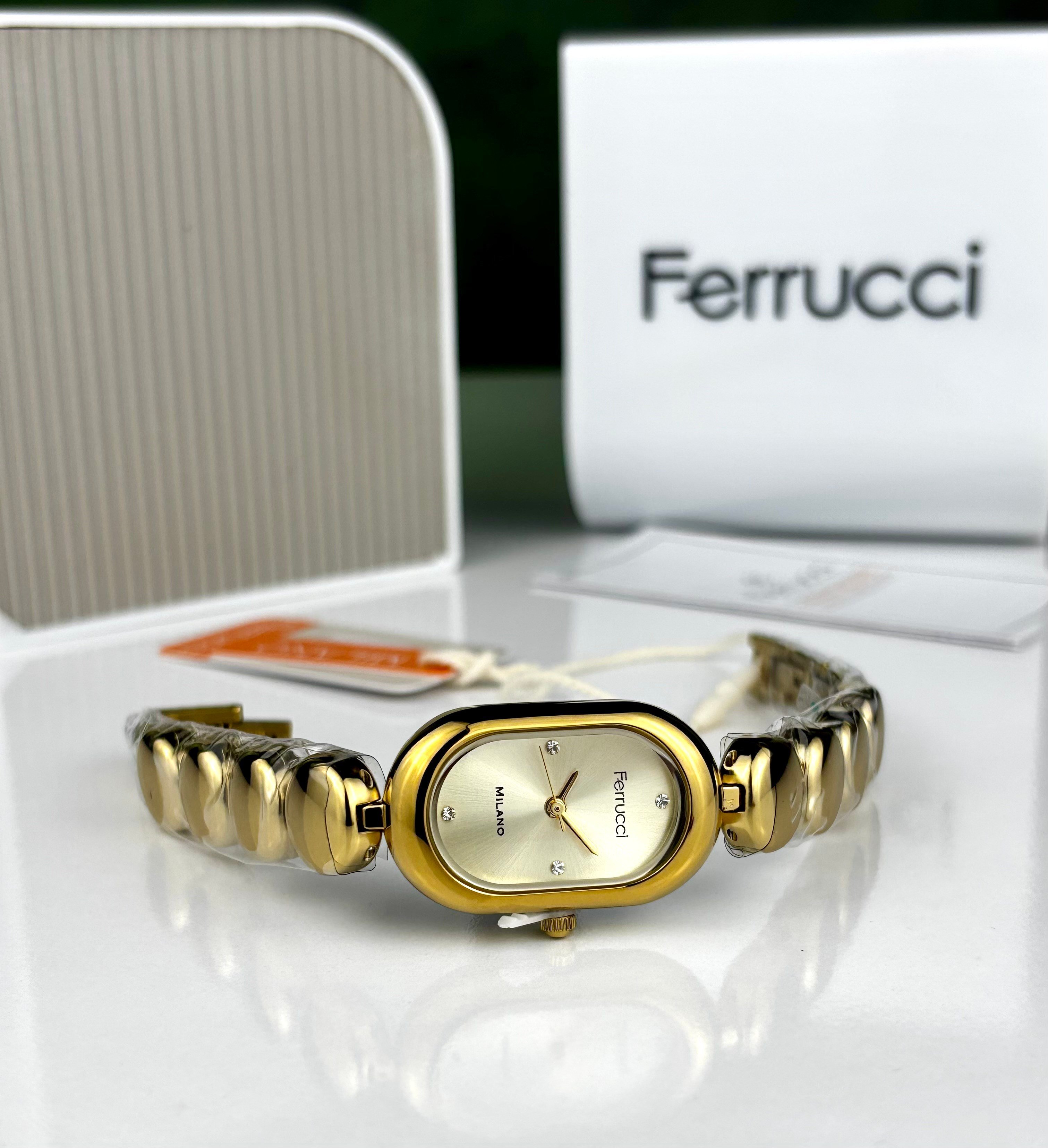 FERRUCCİ FC 03680M.03 KADIN KOL SAATİ