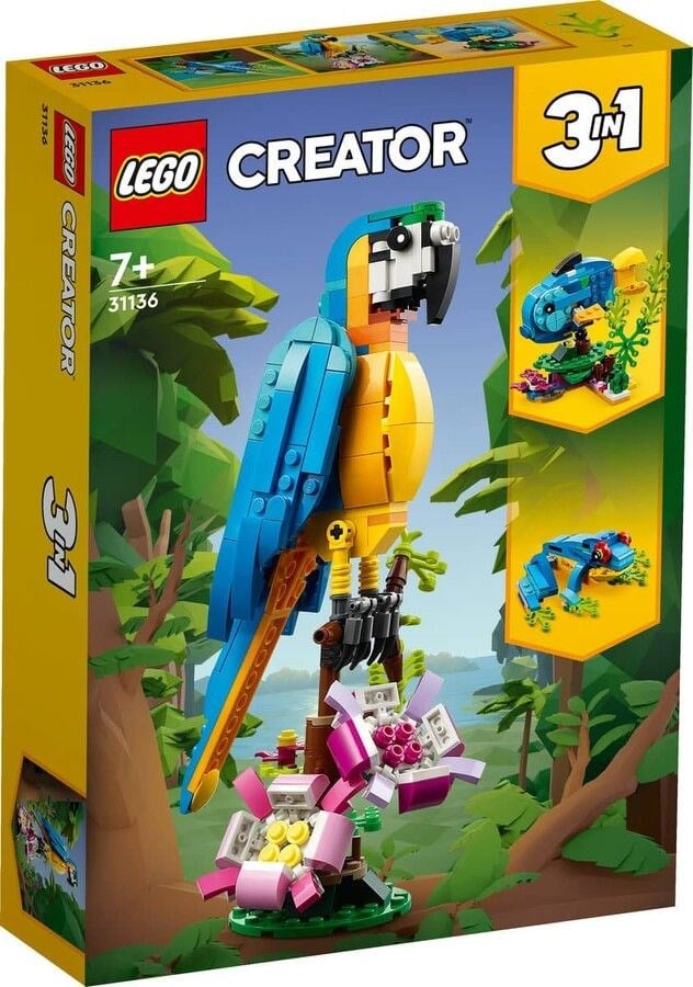 ADO-LMC31136 EXOTIC PARROT 6