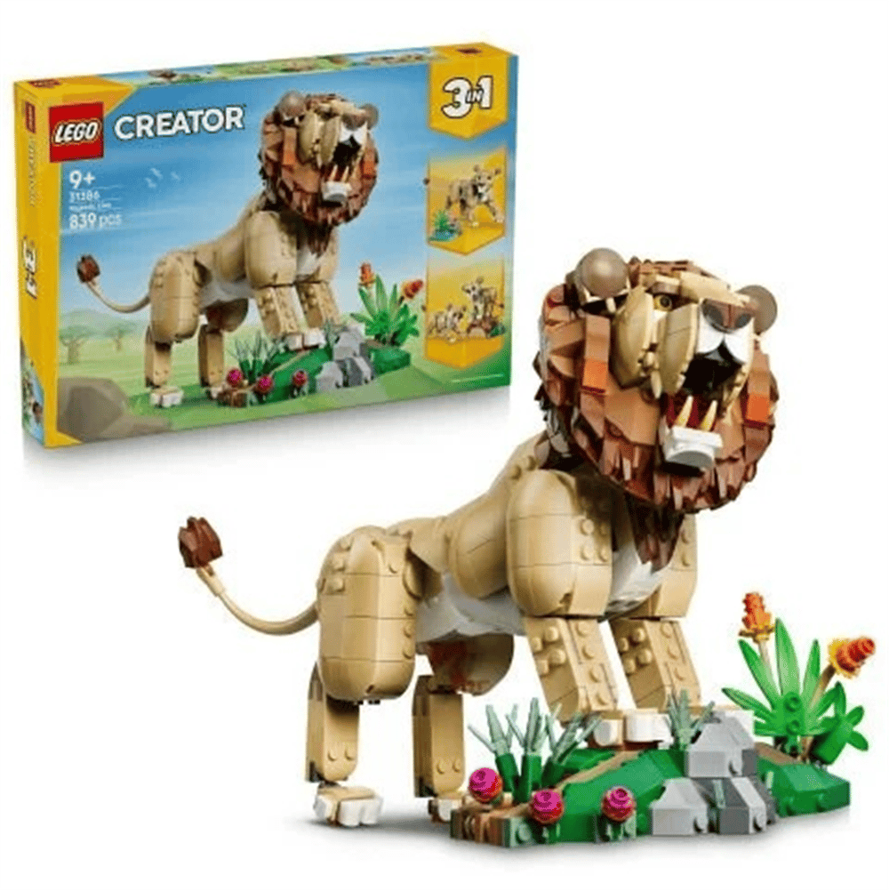 ADOL-LMC31386ADOL-LMC31386 GORKEMLI ASLAN 4