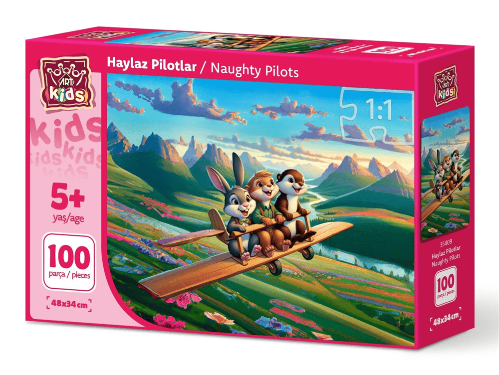 HD-35409HD-35409 HAYLAZ PILOTLAR - 100 PRC 12