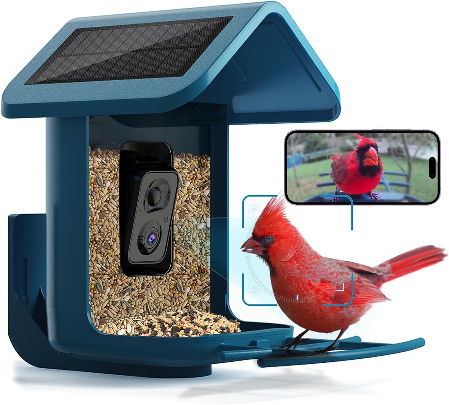 Onlyfly Güneş Enerjili Kameralı Kuş Yemliği: 2K Canlı Yayın Kamerası - Mavi