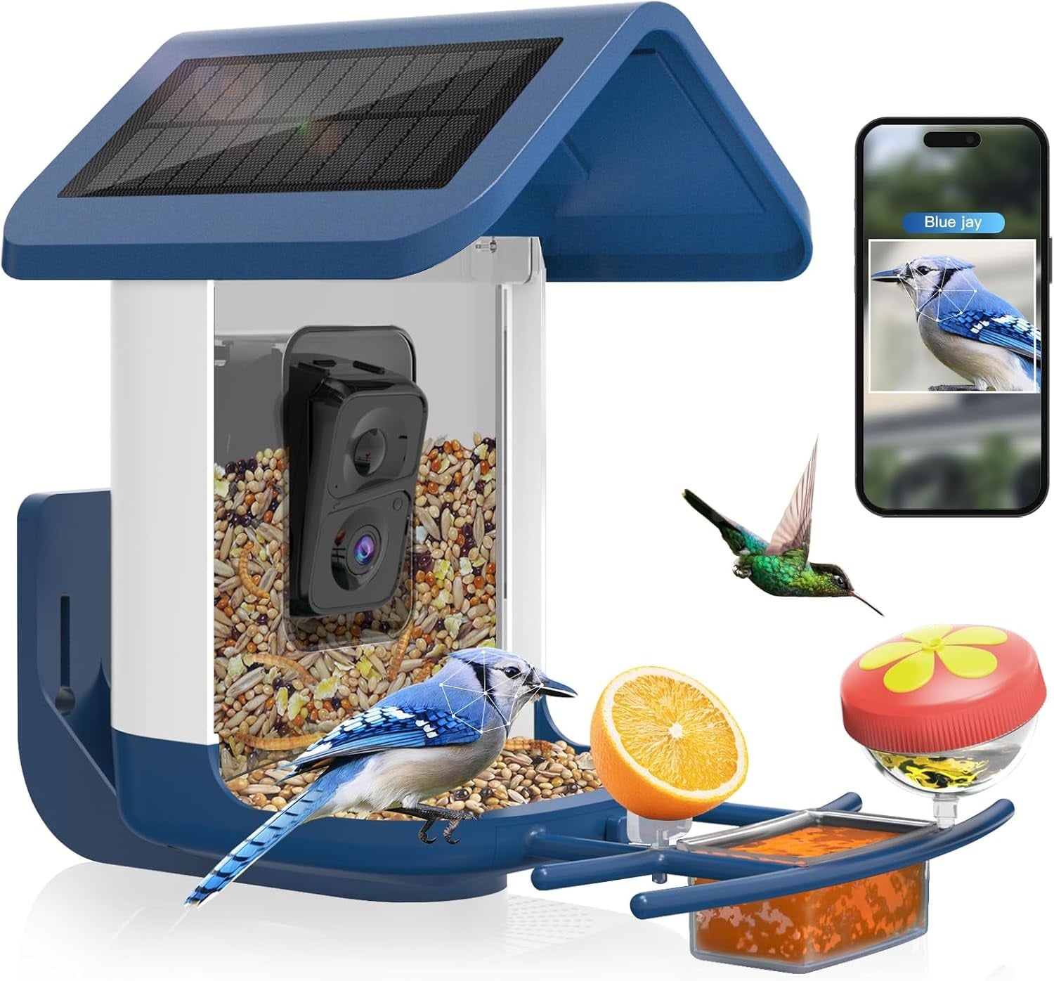 Onlyfly Güneş Enerjili Kameralı Kuş Yemliği: 2K Canlı Yayın Kamerası - Beyaz/Mavi