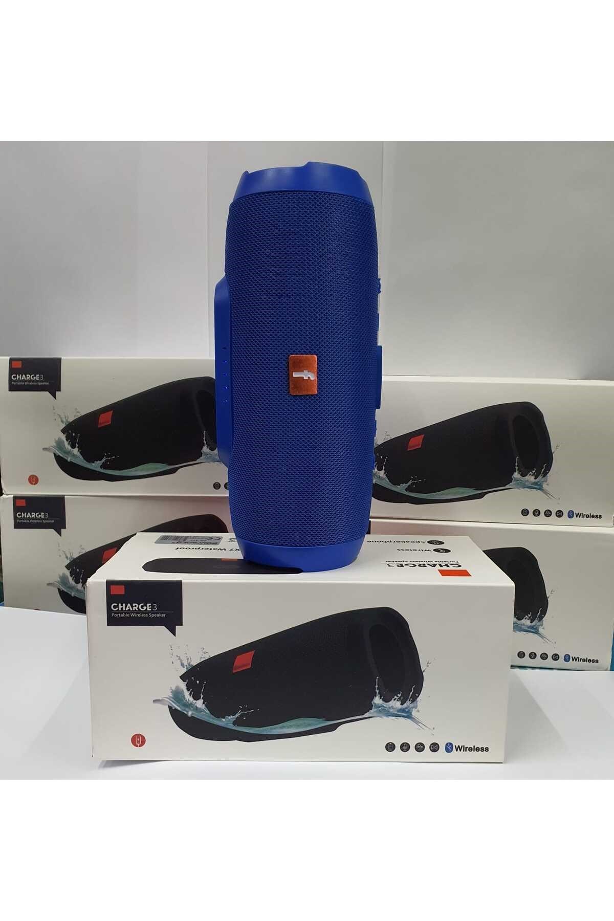 Charge 6 Bluetooth Hoparlör