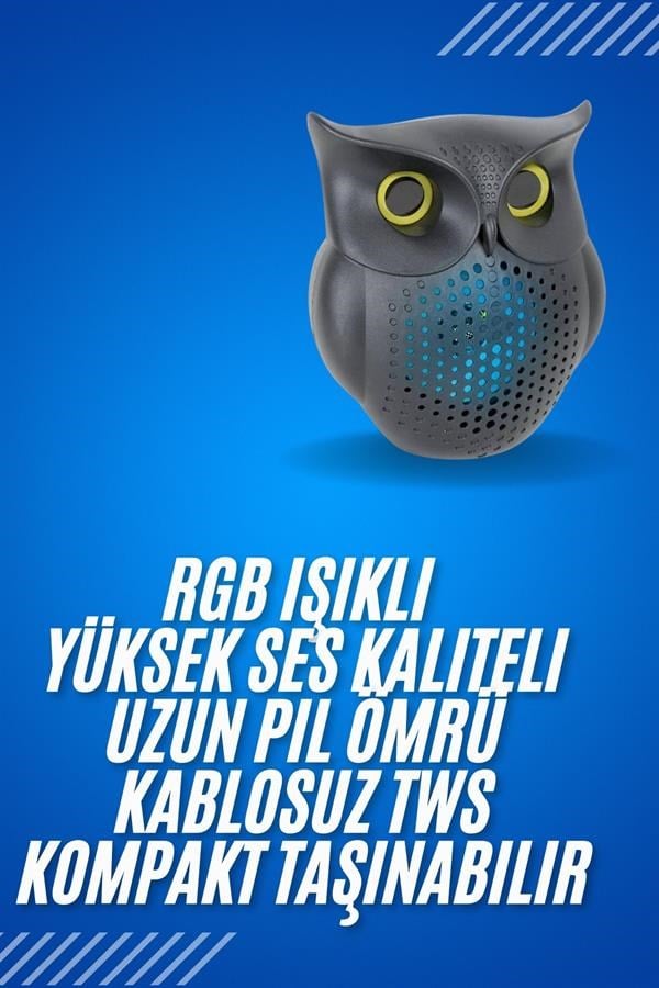 Siyah Bluetooth Hoporlör Baykuş Speaker Bluetooth 5.0 Bağlantılı