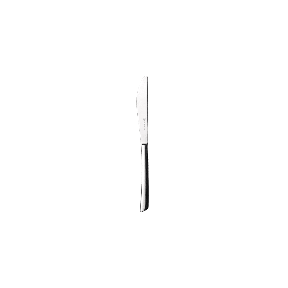 Evolve Yemek Bıçağı 23.7cm