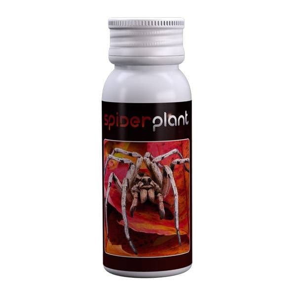 Agrobacterias Spider Plant 15 ml
