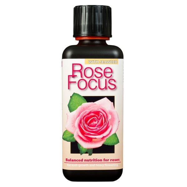 Growth Technology Rose Focus 300 ml