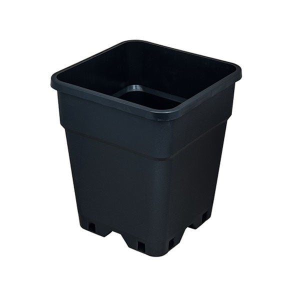 Kare Saksı 2 litre