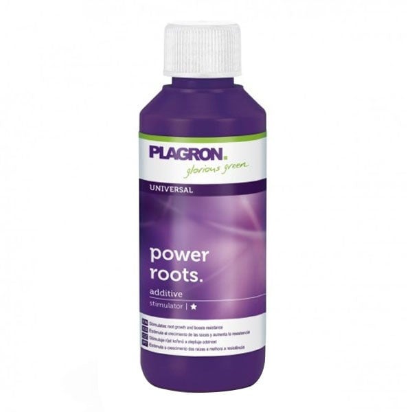 Plagron Power Roots 100 ml