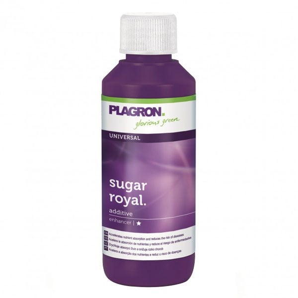 Plagron Sugar Royal 100 ml