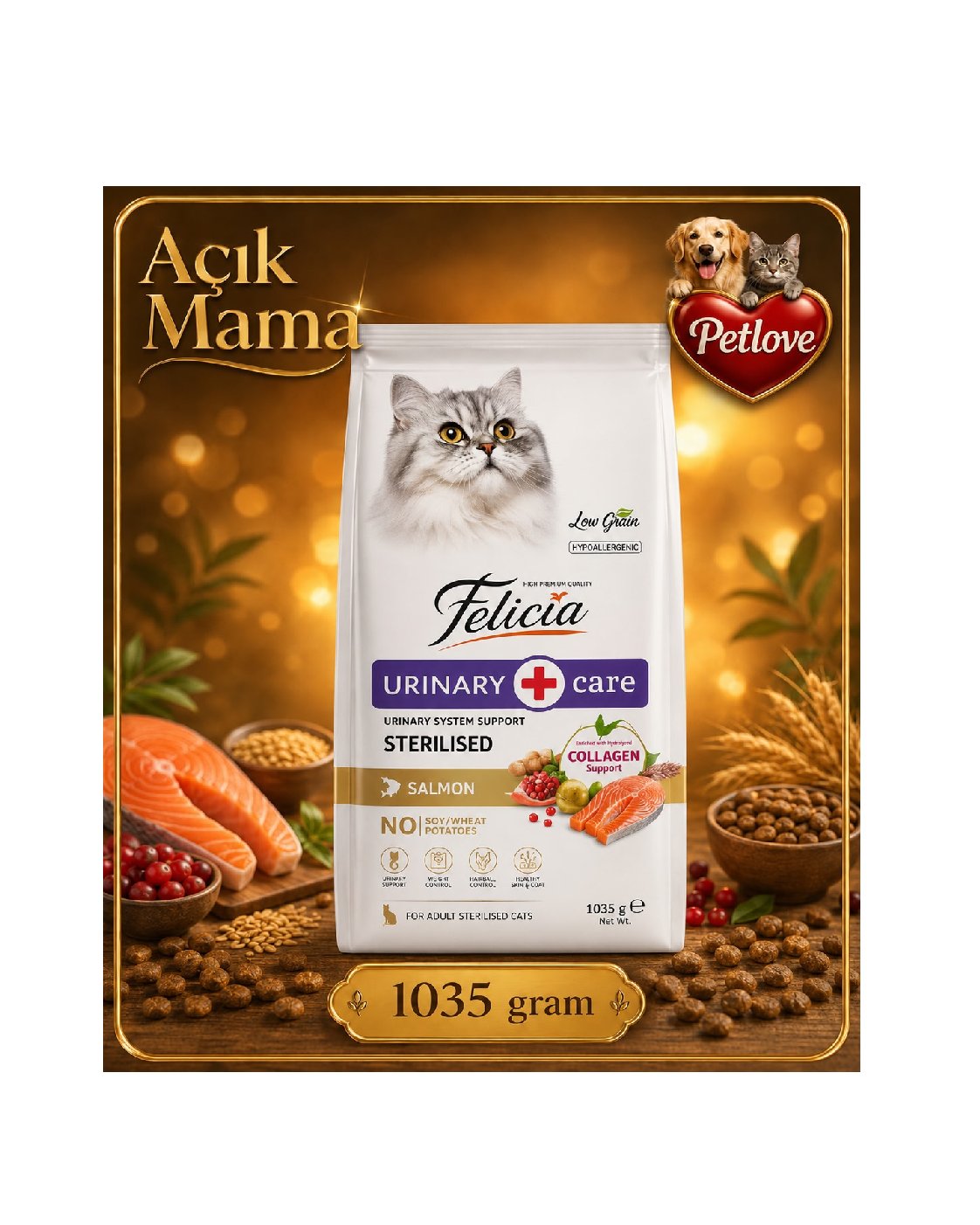 AÇIK Felicia Kısır Kedi Somon 1 KG
