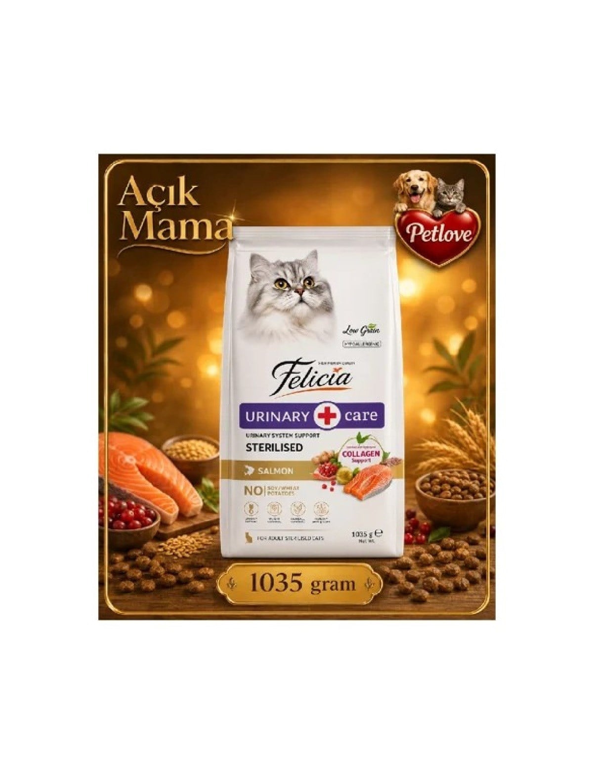 (AÇIK) FELİCİA SOMONLU KISIRLAŞTIRILMIŞ  KEDİ KURU MAMASI 1 KG 