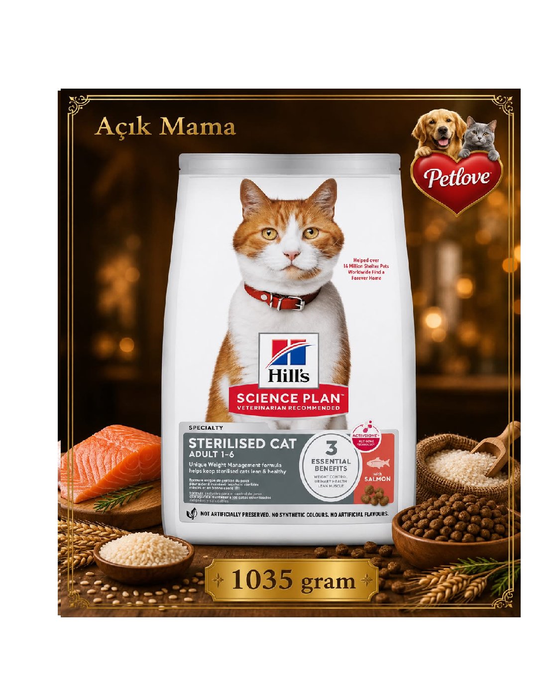 AÇIK Hilss Kısır Kedi Somonlu 1 KG