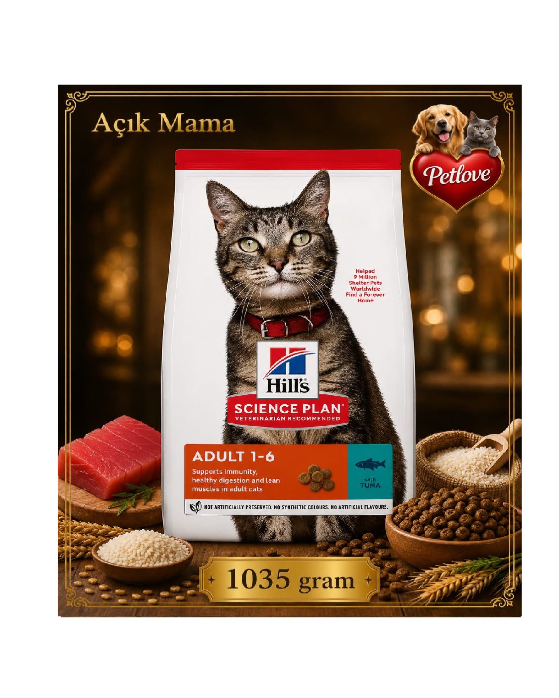 AÇIK Hilss Yetişkin Kedi Somonlu 1 KG