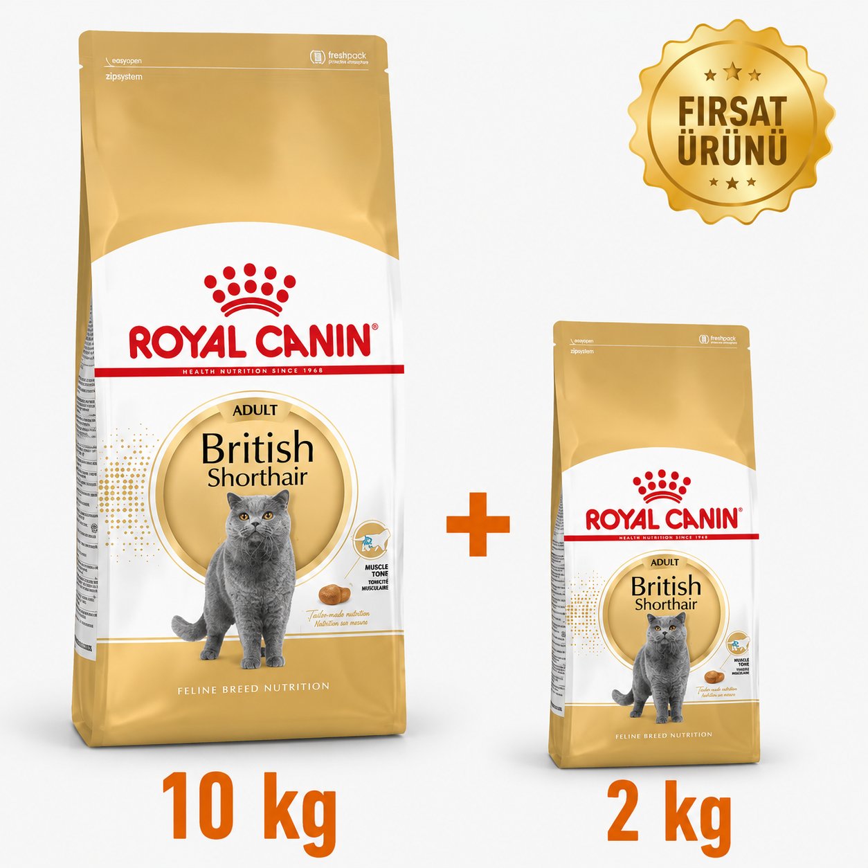 Royal Canin British Shorthair Yetişkin Kedi Maması 10 Kg + 2 Kg Fırsat Ürünü
