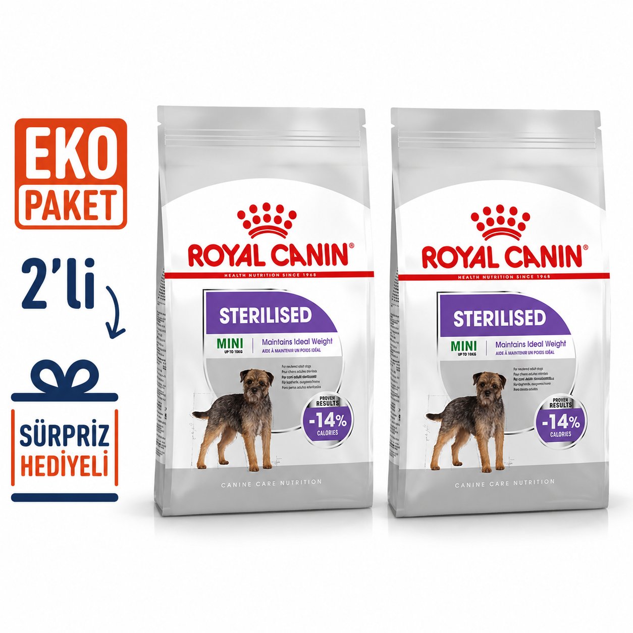 Royal Canin CCN Mini Steril Kısır Köpek Maması 3 kg X 2 'li Eko Paket 