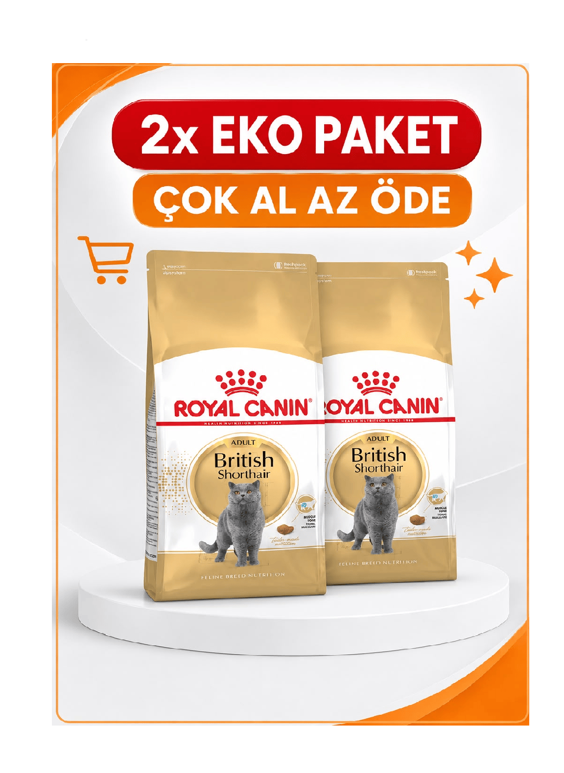 Royal Canin FBN British Shorthair Yetişkin Kedi Maması 4 Kg X 2' li Eko Paket 