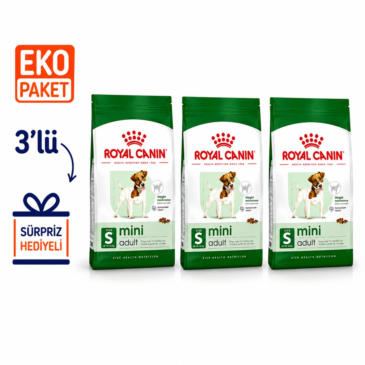 Royal Canin Mini Adult Yetişkin Köpek Maması 2 Kg X 3'lü Eko Paket