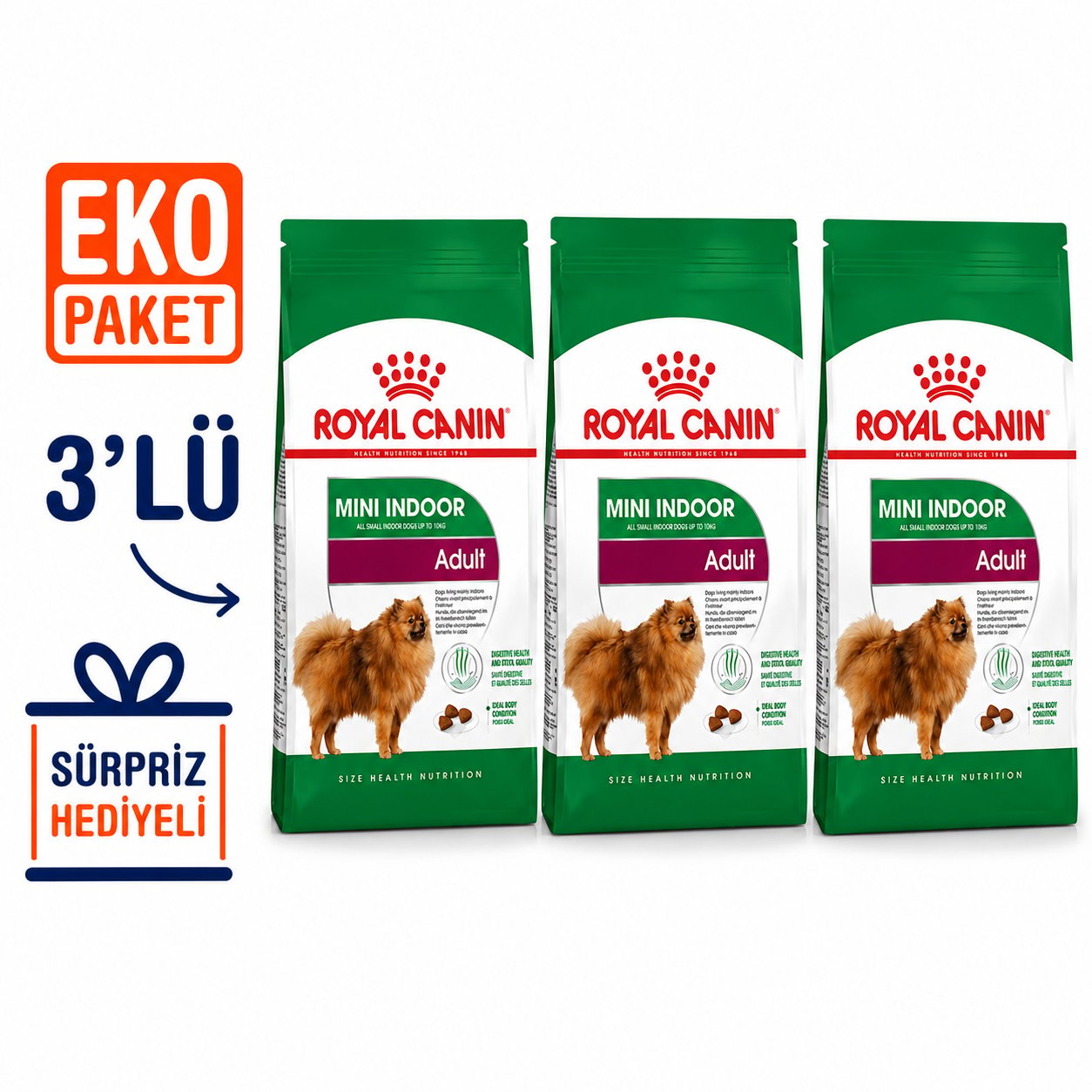 Royal Canin Mini İndoor Adult Yetişkin Köpek Maması 1.5 Kg X 3'lü Eko Paket 