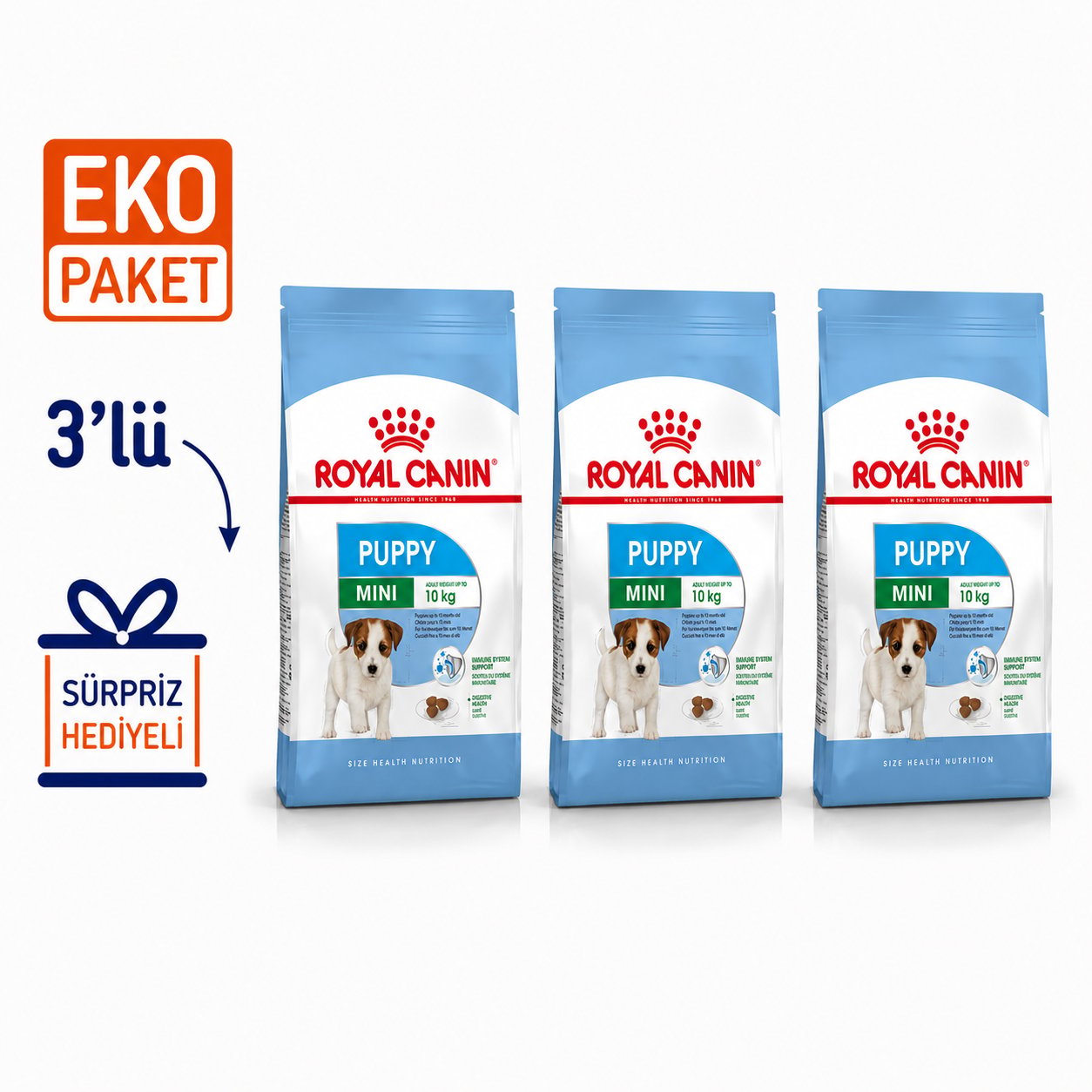 Royal Canin Mini Puppy Yavru Kuru Köpek Maması 2 Kg X 3'lü Eko Paket 
