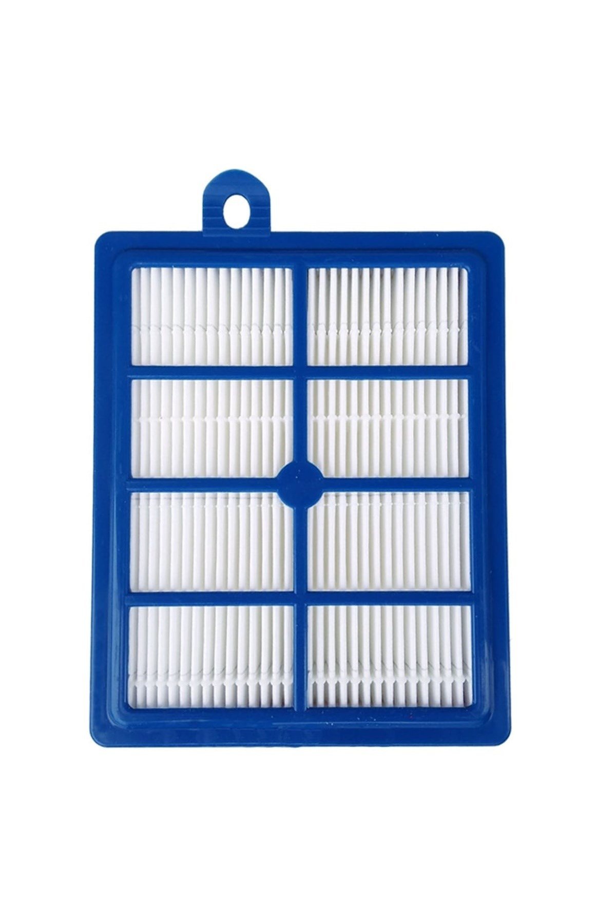 Electrolux Uyumlu UltraActive 4325A Süpürge Hepa Filtresi