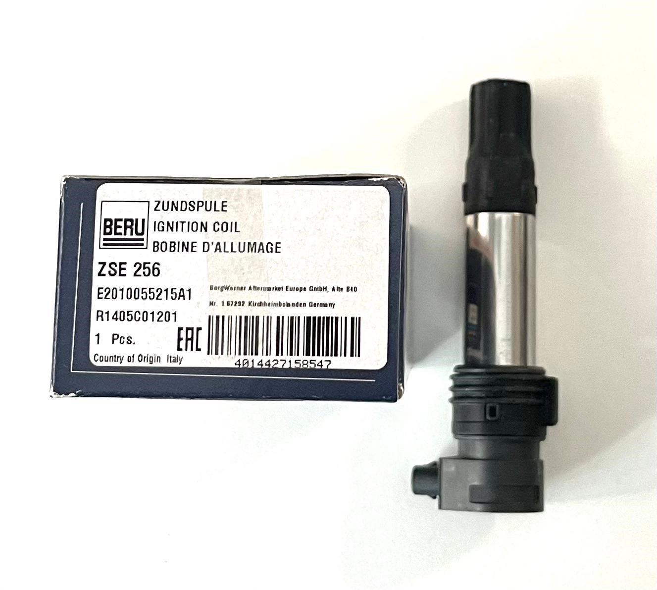 BORGWARNER ZSE256 BMW R 1250 / R 1300 2018-2024 ATEŞLEME BOBİNİ