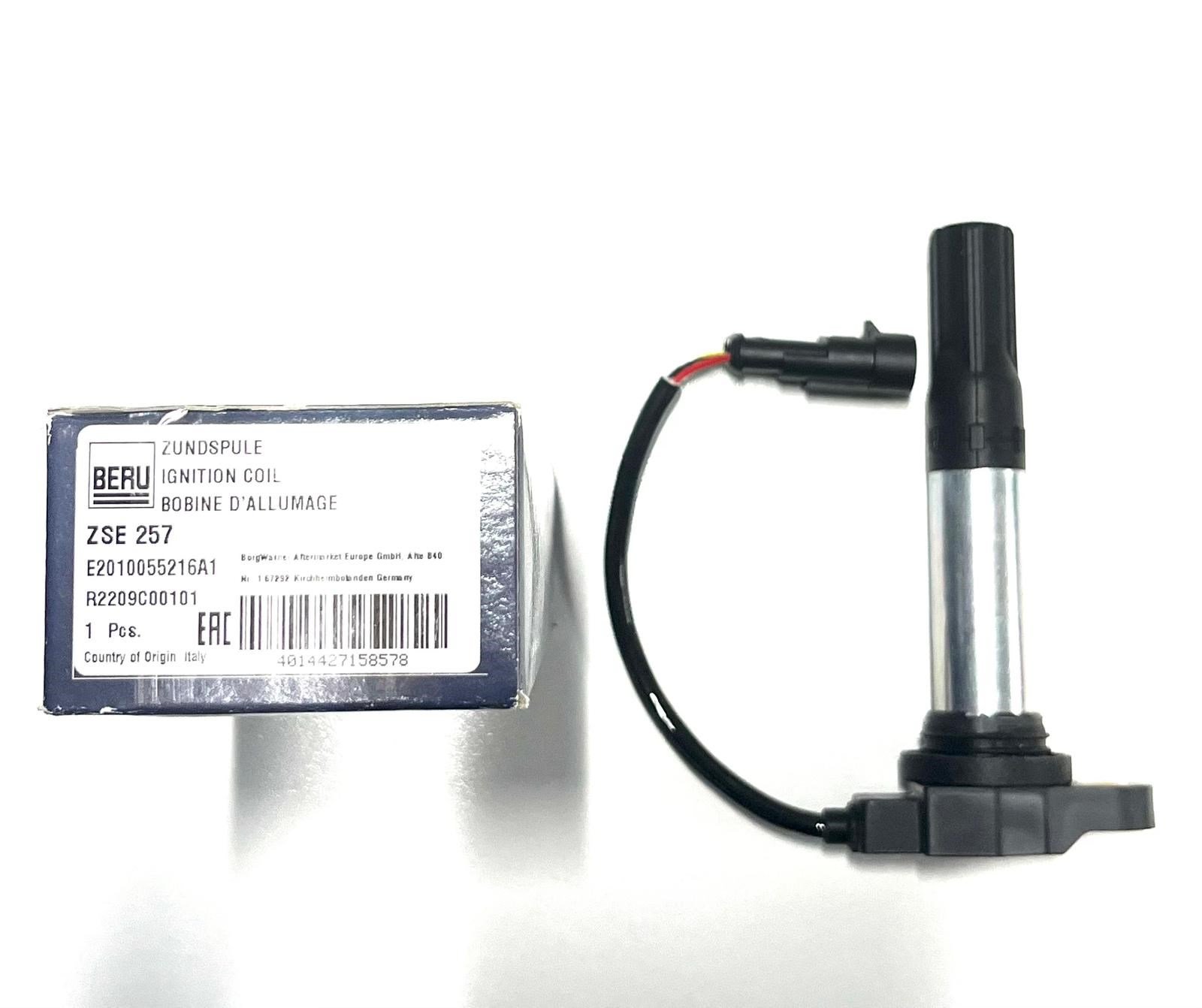 BORGWARNER ZSE257 APRILIA RSV4 RS 660 TUONO 660 ATEŞLEME BOBİNİ