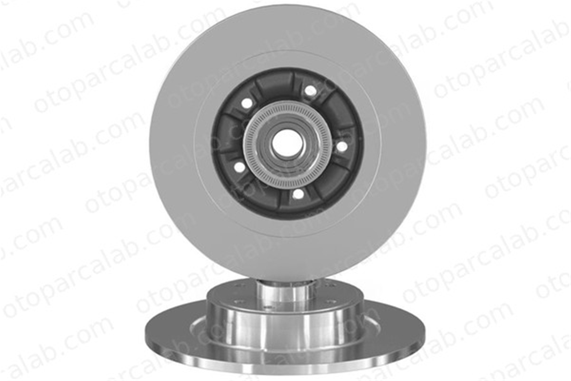 AYD 50420B Fren Disk Ayna Arka Sağ ve Sol RENAULT LAGUNA II Grandtour LAGUNA II 7701472838 7701713008