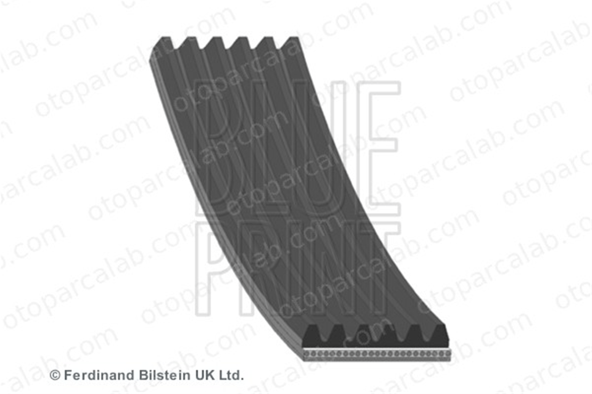 BLUE PRINT AD06R1600 Vantilatör Kayışı VW TOURAN TIGUAN 3C903137A 03C903137A