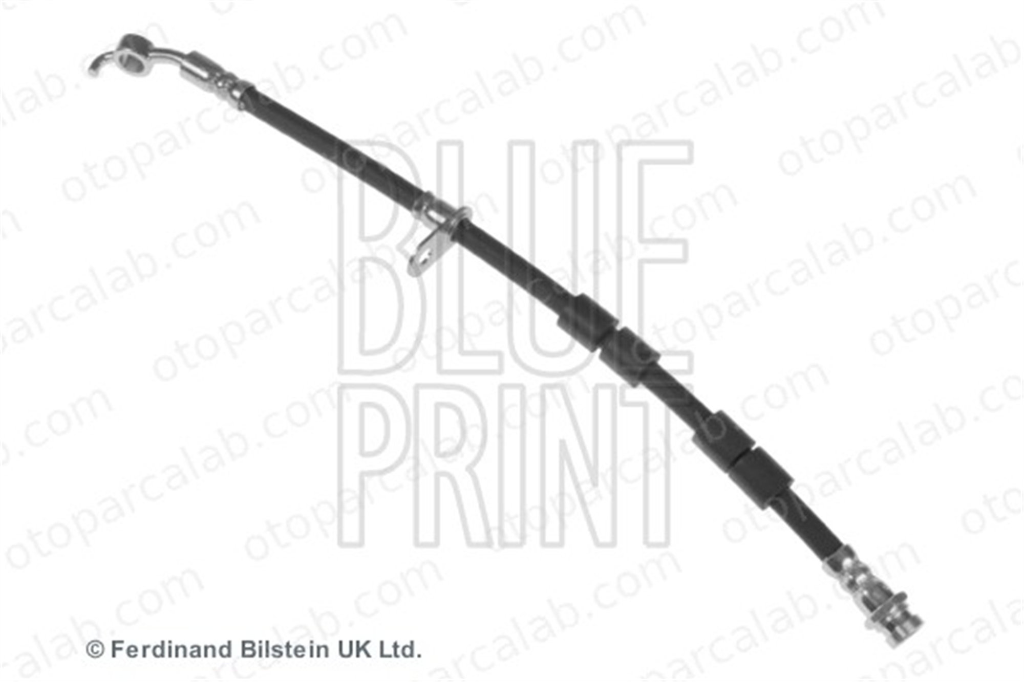 BLUE PRINT ADM553121 Fren Hortumu Ön Sol FORD FIESTA VI FIESTA VI Van D65143990