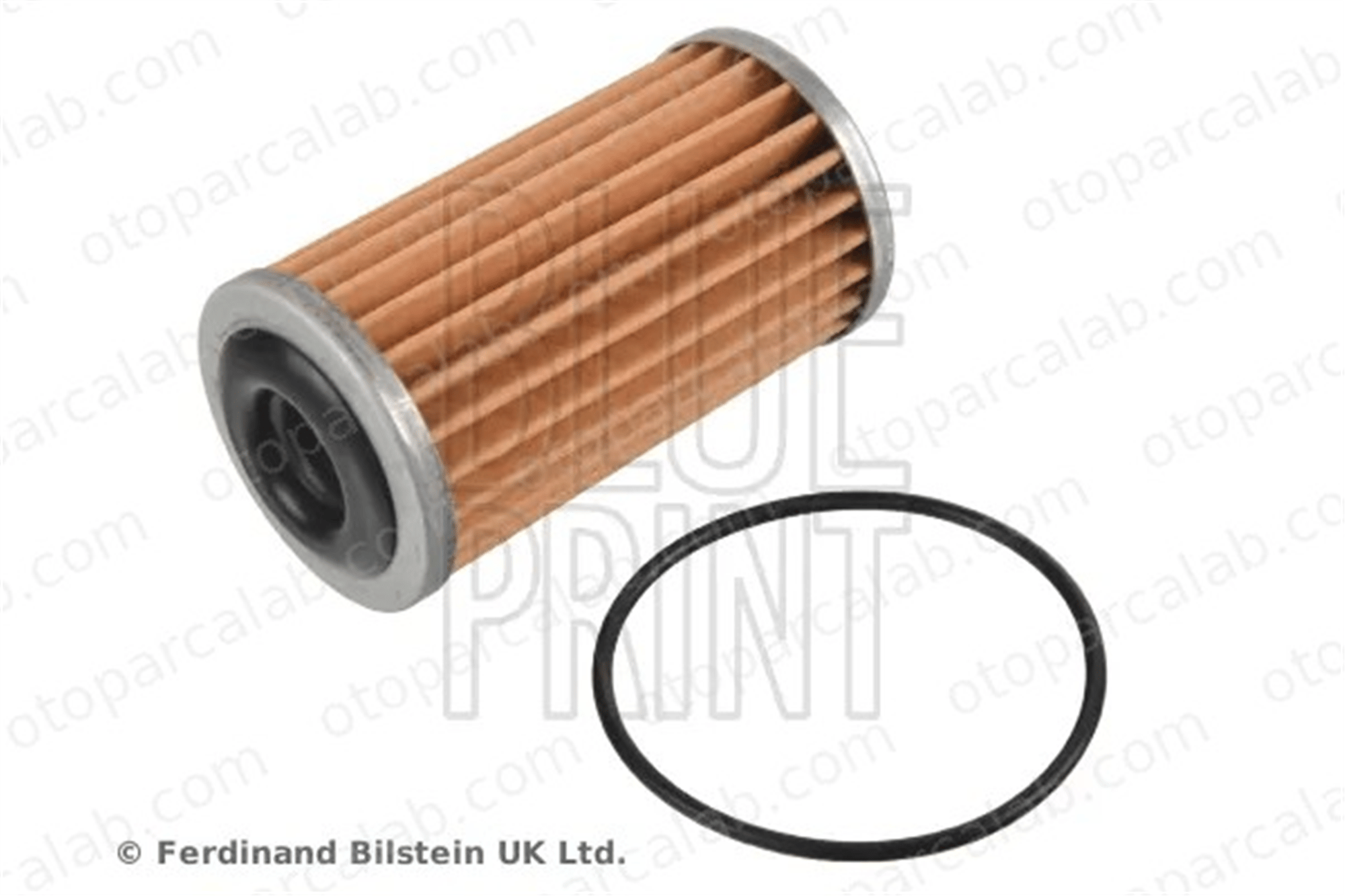BLUE PRINT ADN12141 Şanzıman Yağ Filtresi NISSAN MICRA IV QASHQAI II SUV 317263JX0A 317263XX0A