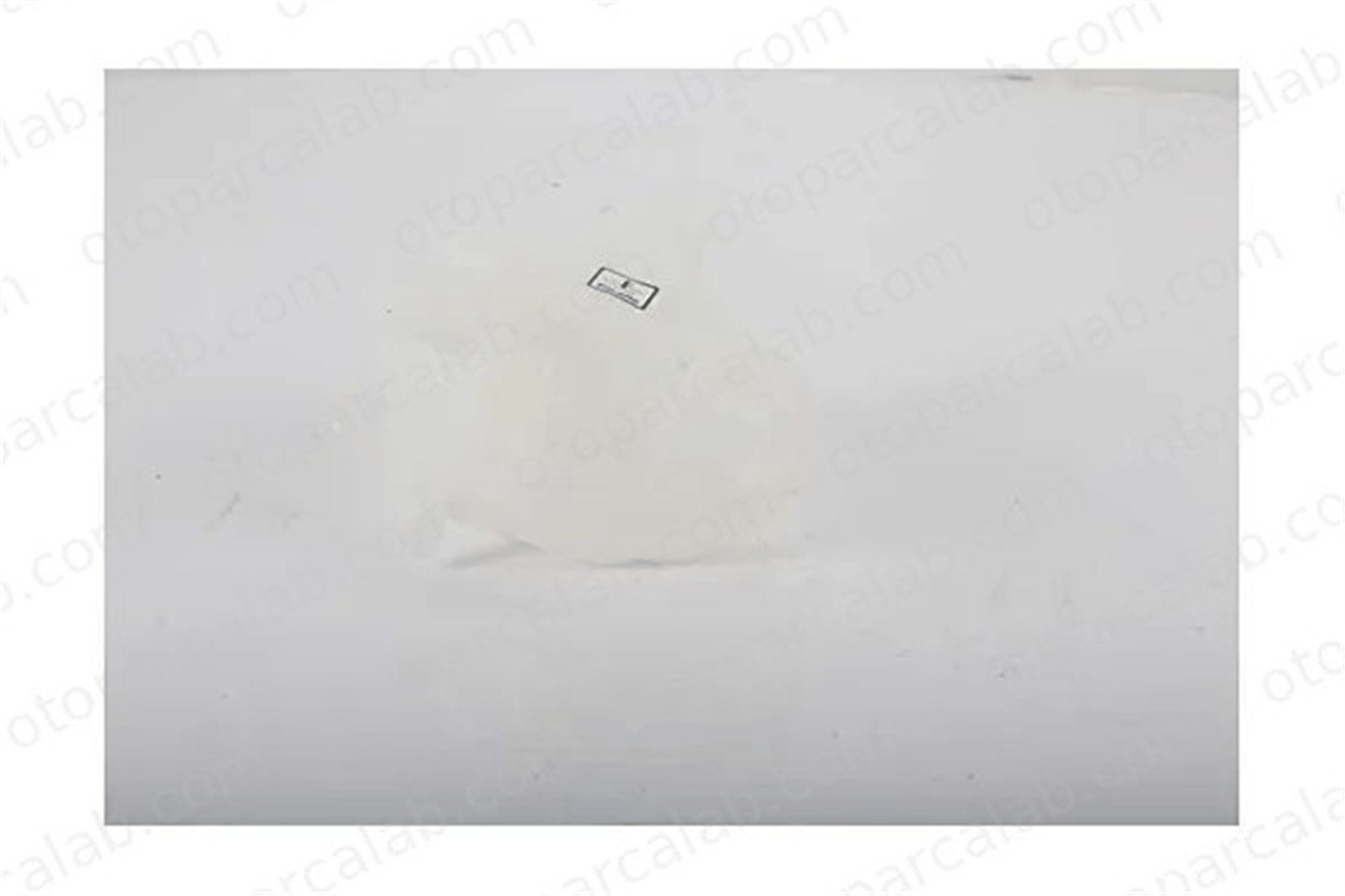 BSG 25-971-008 Radyatör Yedek Su Deposu FIAT PANDA ALFA ROMEO MITO 55700508 46799364