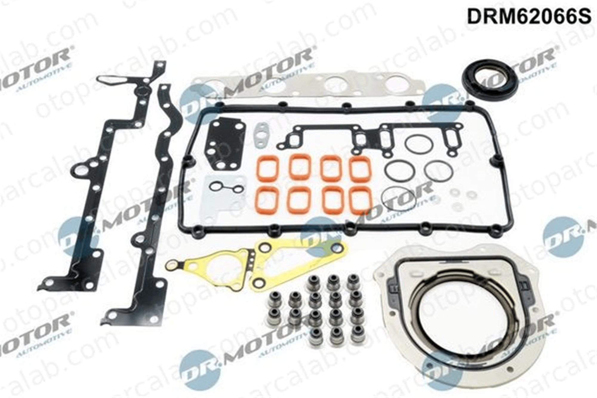 BSG 30-116-071 Takım Conta FORD RANGER TRANSIT V363 Panelvan/Van 2C1Q9448 1096253