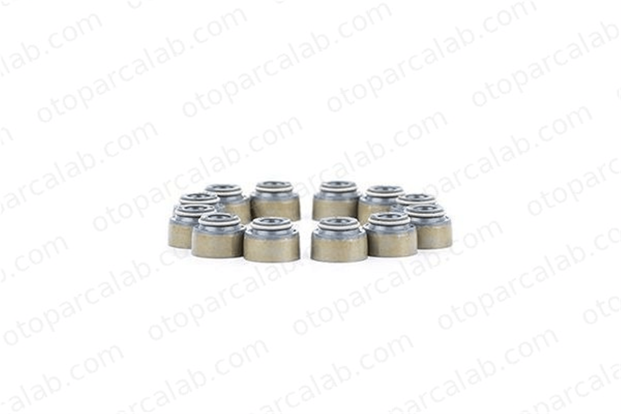 BSG 30-116-101 Supap Lastiği FORD RANGER MAZDA B-SERIE XM346571AA 3601710(12x)