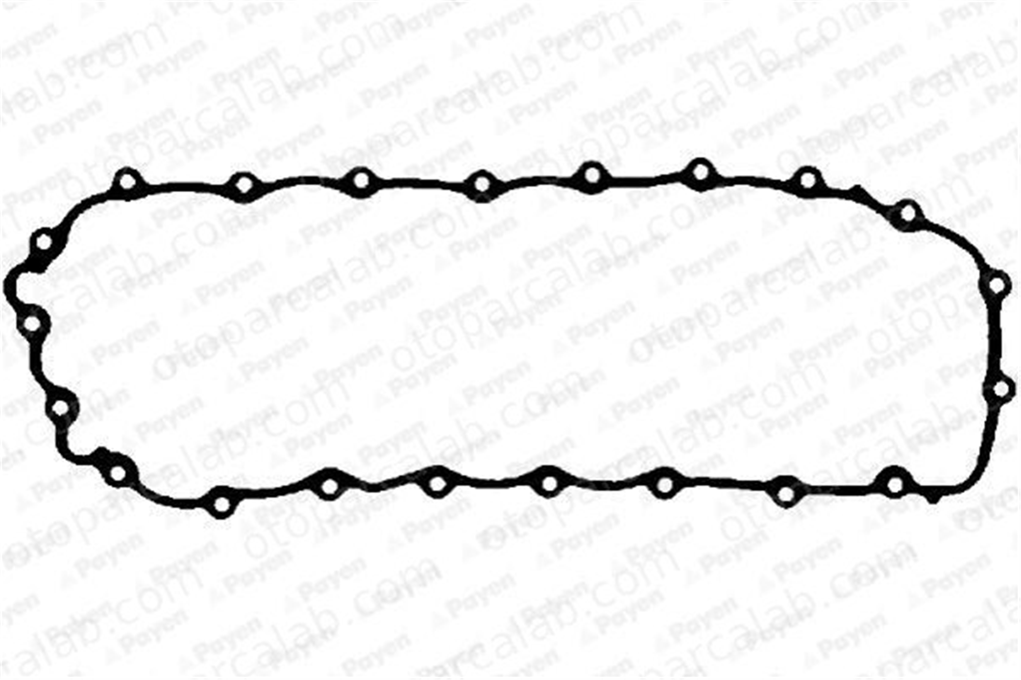 BSG 75-116-059 Karter Contası RENAULT LAGUNA II Grandtour LAGUNA II 7700114424 M889793