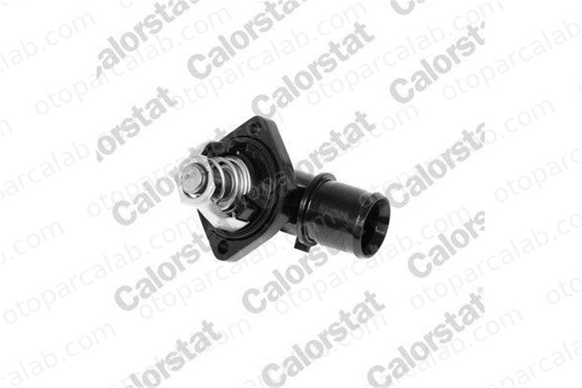 CALORSTAT TH6191.89J Termostat CITROËN C3 I C2 1336Q2 1336N1
