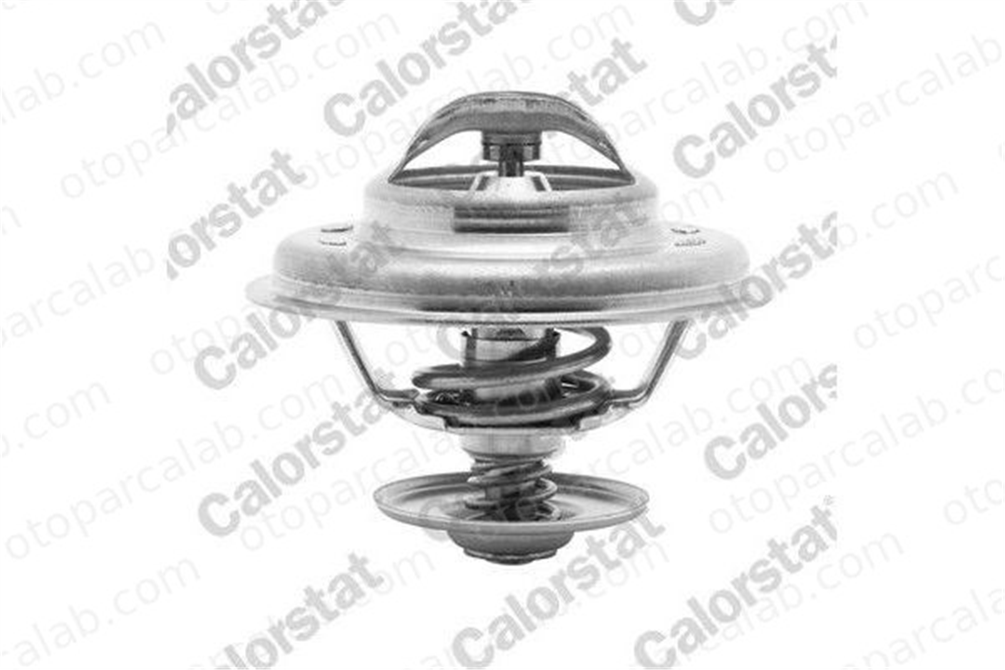 CALORSTAT TH6243.92J Termostat BMW 5 3 11537511083 11531468057